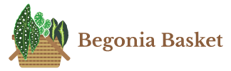 The Begonia Basket Logo